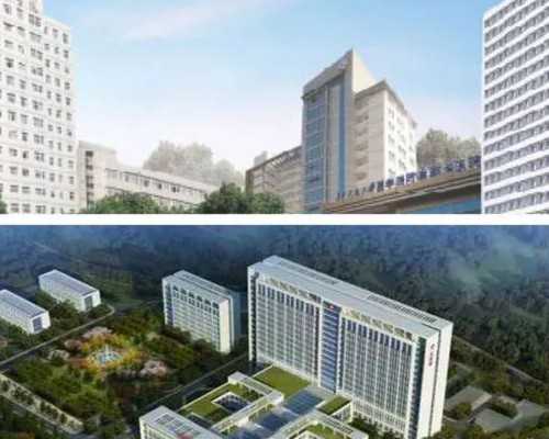 孕育之路：男女双方全面备孕指南