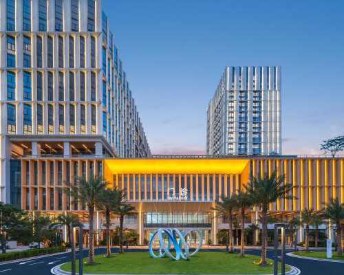 孕期发烧能否服用磷酸奥司他韦胶囊的解答