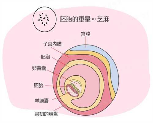 杭州世纪代怀孕怎么好_怀孕五个月体温多少正常