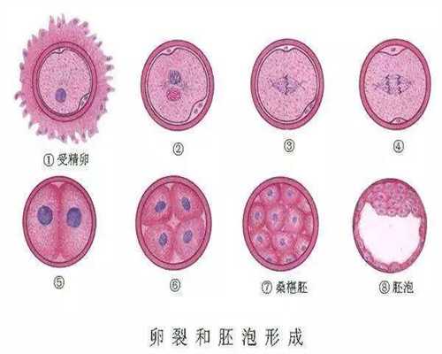 杭州试管代孕有什么条件_杭州代孕的女人哪里找_月经出现血块是流产吗