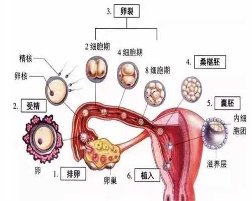 杭州现在找个代孕大概要多少钱_杭州找一个代孕得多少钱_添加对牙齿健康有帮