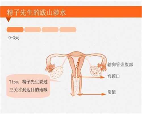 杭州代孕时间准备_杭州哪里找个人代孕女_海孕供卵机构_1626759804117