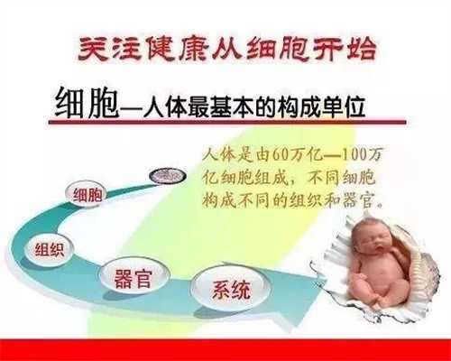 杭州70后生二胎供卵成功的_国内可以供卵试管吗